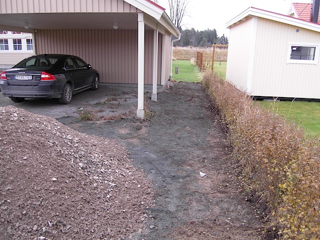 SDC10481